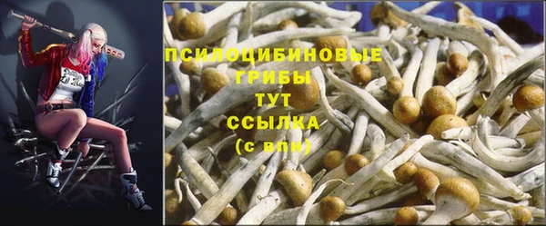 каннабис Костерёво