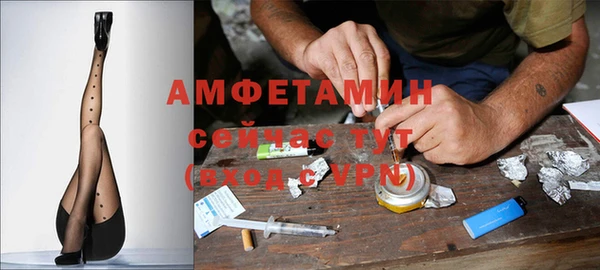 амф Корсаков